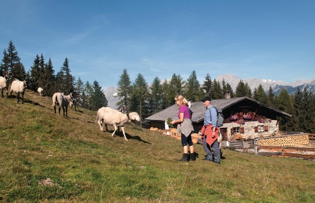 Read more about the article Pfaffenhofner Alm